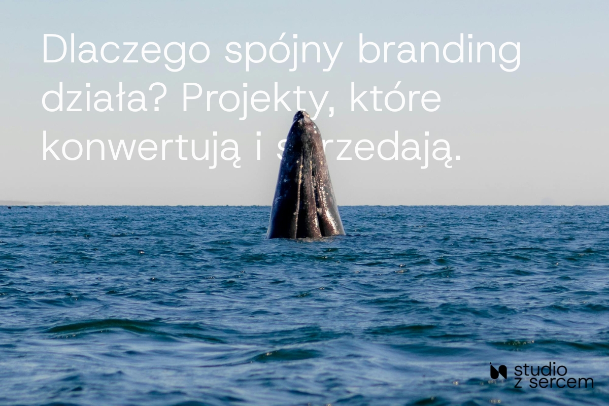 Dlaczego spójny branding działa? Projekty, które konwertują i&nbsp;sprzedają