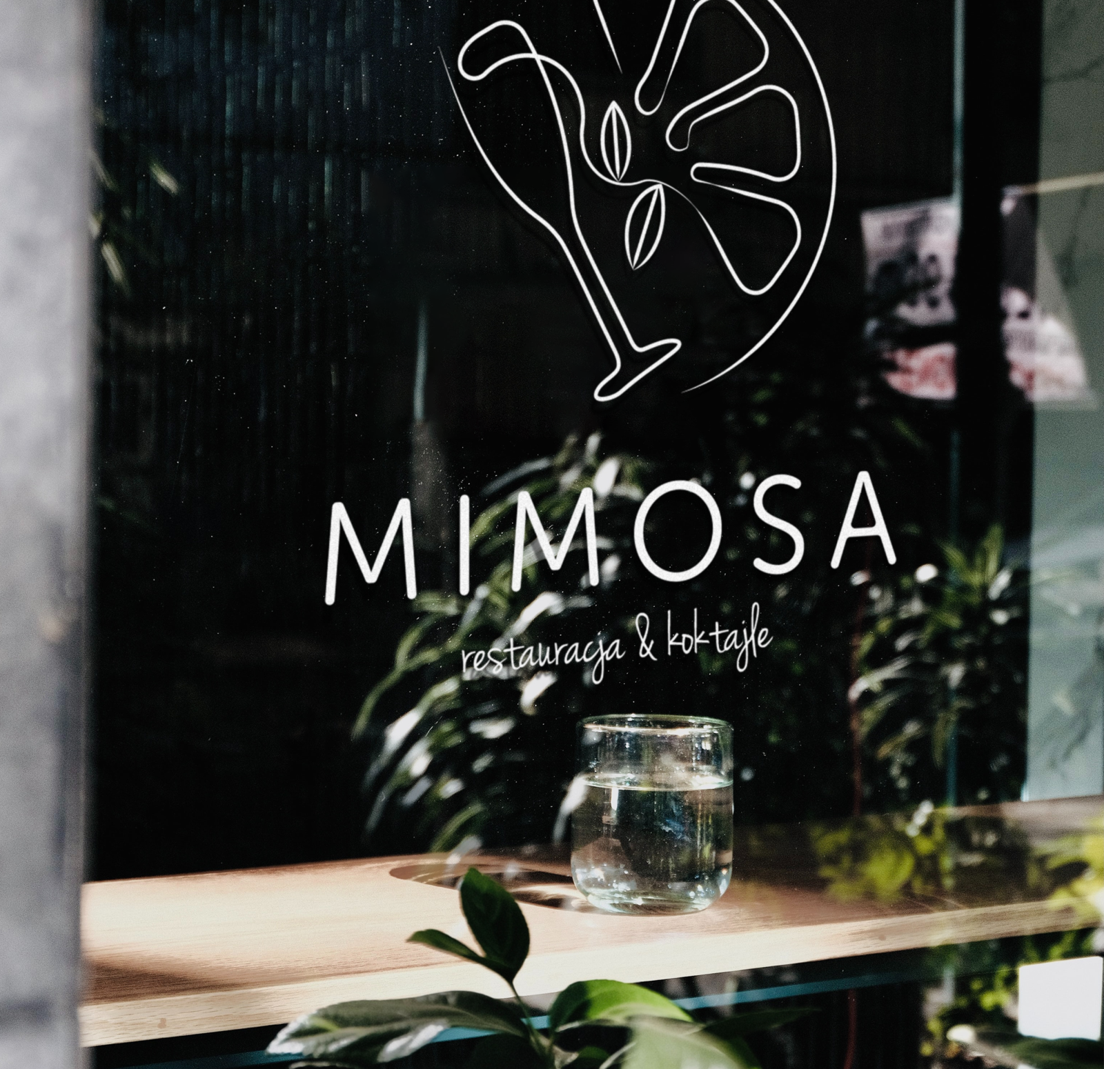 Mimosa Gdańsk